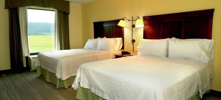 希尔顿欢朋酒店-拉马尔(Hampton Inn & Suites Lamar)图片