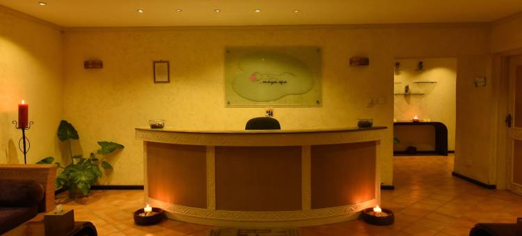 迪亚尼礁海滩度假村&温泉(Diani Reef Beach Resort & Spa - Your Beachfront Bliss Awaits)图片