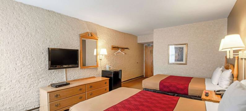 新城伊康旅馆(Econo Lodge Metro)图片