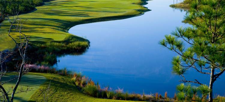 宫殿娱乐场度假村(Palace Casino Resort)图片