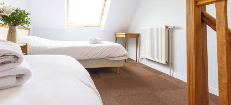 圣刘易斯酒店(Logis Hôtel & Restaurant - le Saint-Louis)图片