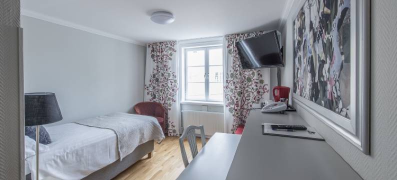 赫迪莫拉城市酒店(Hedemora Stadshotell)图片