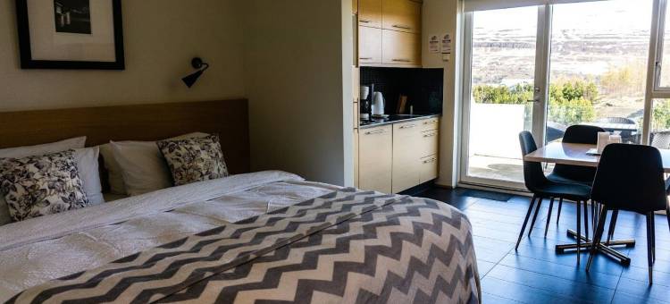 赛罗哈斯公寓及别墅(Saeluhus Apartments & Houses)图片