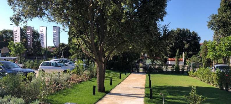 诺伊米客房酒店(Noemi's Rooms)图片