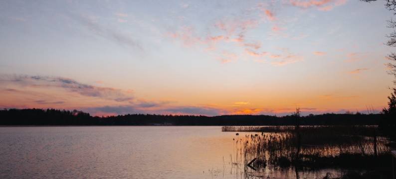 沃丽碧庄园酒店(Wallby Säteri)图片