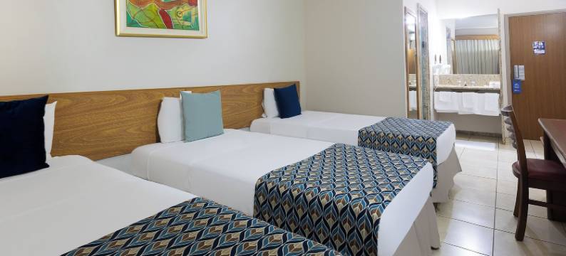 丹酒店弗兰卡 by Nacional Inn(Hotel Dan Inn Franca & Convenções by Nacional Inn)图片