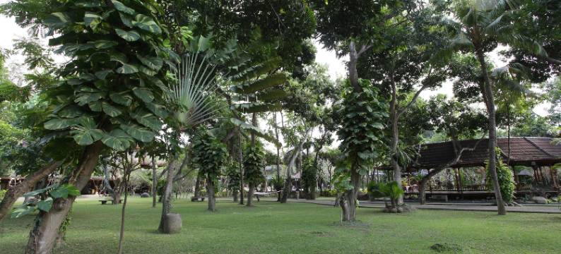 玛塔哈莉别墅酒店(Matahari Bungalow)图片
