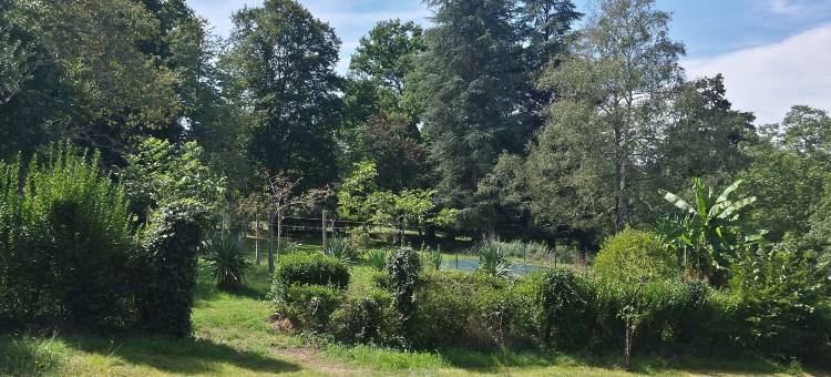 13 蜜蜂酒店(13 Bees)图片