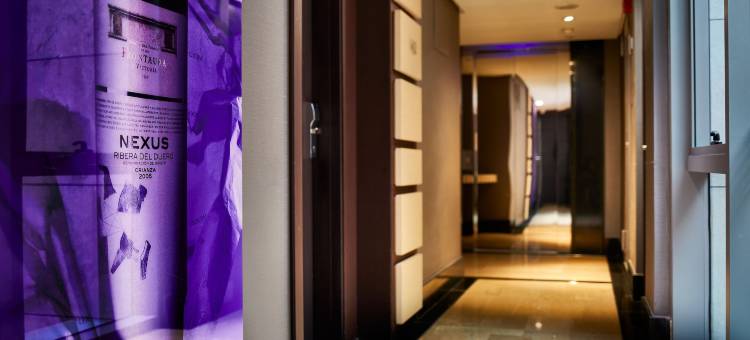 巴利亚多里德尼克塞斯套房酒店(Nexus Valladolid Suites & Hotel)图片