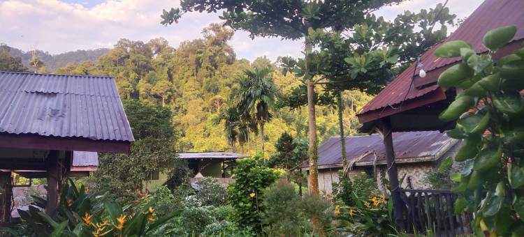 山景小屋和塔康哈汉别墅(Mountain View Cottages & Villa Tangkahan)图片