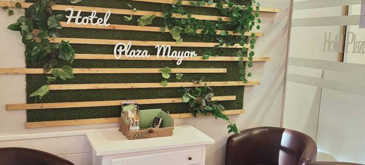 阿塞博广场大酒店(Hotel Acebo Plaza Mayor)图片