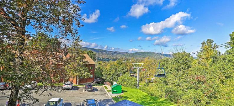 弗农公寓 w/露台, 近阿帕拉契小路！(Vernon Condo w/ Deck, Near Appalachian Trail!)图片