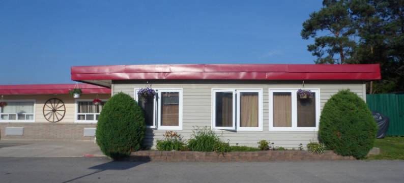 银桦树汽车旅馆(The Silver Birch Motel)图片