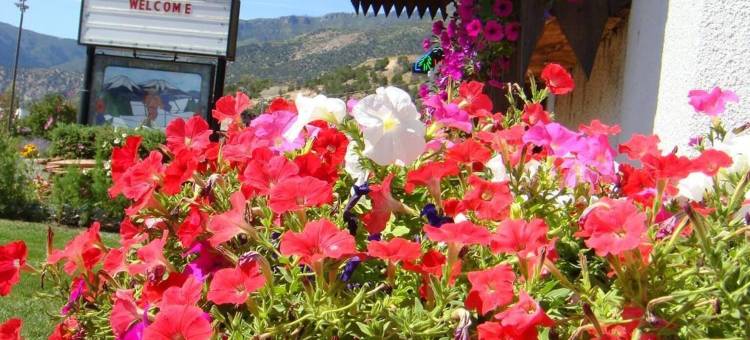 星光汽车旅馆(Starlight Lodge)图片