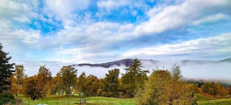 罗文树乡村酒店(The Rowan Tree Country Hotel)图片