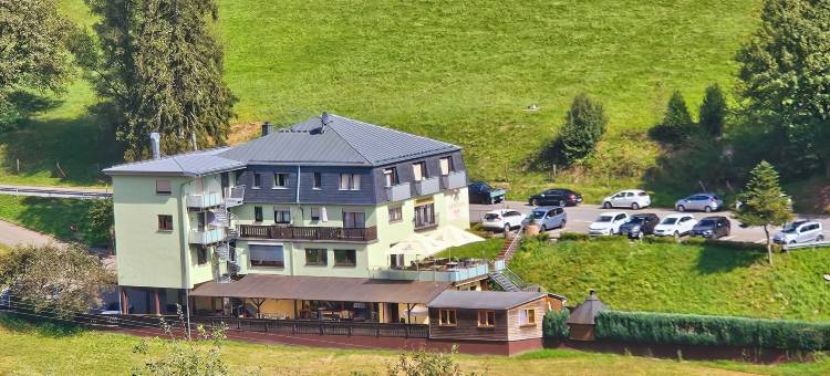 格鲁纳鲍姆乡村酒店(Hotel Grüner Baum Mit Restaurant & Wellness)图片