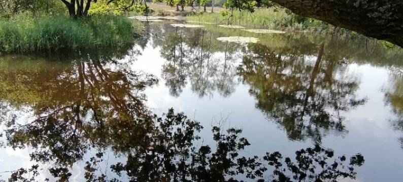 希尔德加德酒店(Hotel Haus Hildegard - Garni 3 Sterne Superior)图片