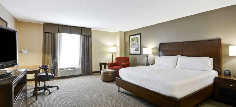 萨拉索塔布雷登顿机场希尔顿花园酒店(Hilton Garden Inn Sarasota-Bradenton Airport)图片