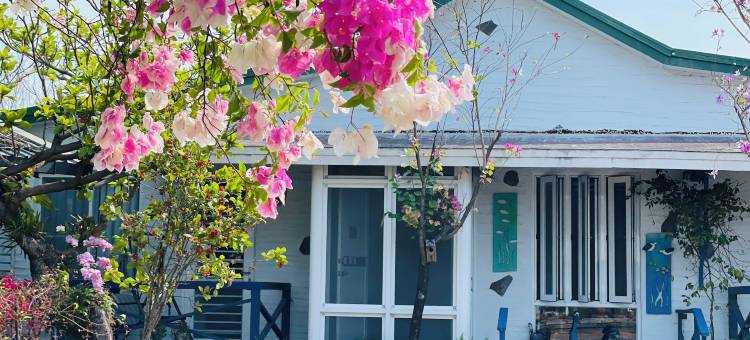 台南榄人生态民宿图片