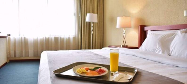 易波萨达套房酒店(La Posada Hotel y Suites)图片