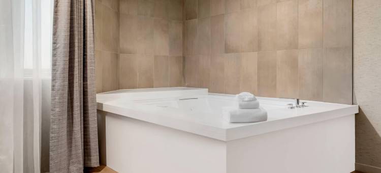 卡拉马祖中心丽笙广场酒店(Radisson Plaza Hotel and Suites Kalamazoo)图片