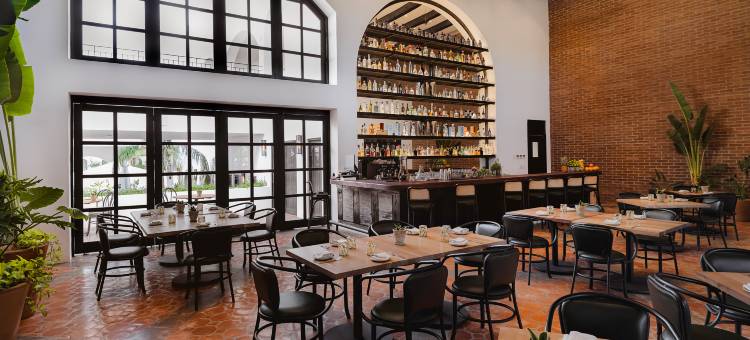 希尔顿塔佩斯特里精选洛斯卡沃斯热带酒店(Tropicana Los Cabos, Tapestry Collection by Hilton)图片