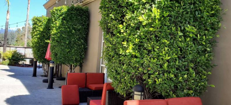 太平洋住宿酒店(Pacific Stay Hotel)图片