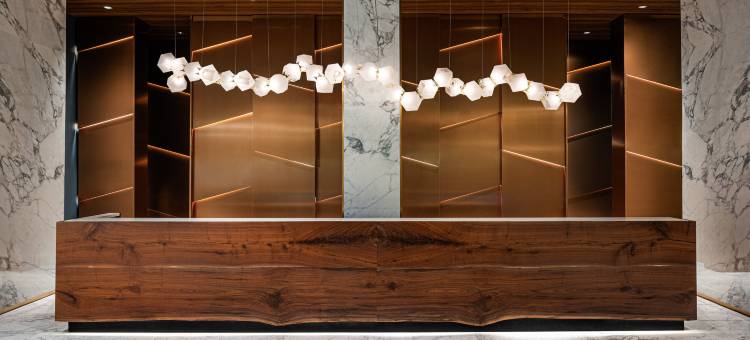 阿洛伊普鲁士王村希尔顿逸林酒店(The Alloy King of Prussia - a DoubleTree by Hilton)图片