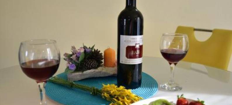 Apartmani Nataša Nino Jezera, Murter图片