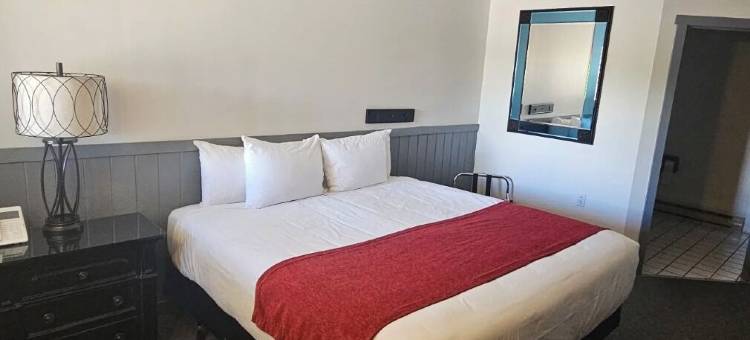 巴哈汽车旅馆(Baja Motel)图片