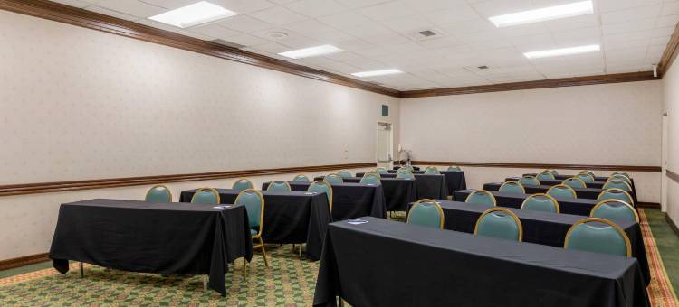 凯隆酒店-阿纳海姆度假村(Clarion Hotel Anaheim Resort)图片