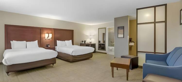 舒适套房酒店(Comfort Suites)图片