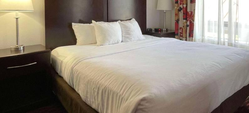 舒适套房酒店(Comfort Suites)图片