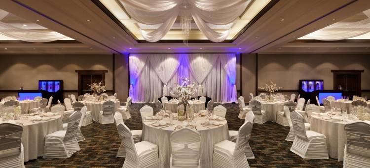 奥兰多莱克布埃纳维斯塔南部希尔顿安泊酒店(Embassy Suites by Hilton Orlando Lake Buena Vista South)图片