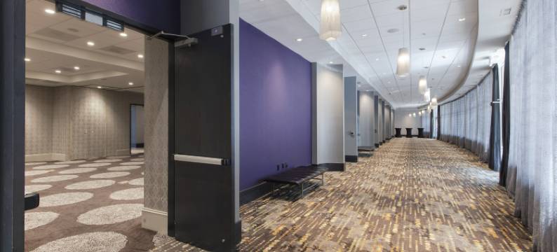 罗利-达勒姆机场-布赖尔溪欢朋套房酒店(Hampton Inn & Suites Raleigh-Durham Airport-Brier Creek)图片