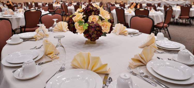 史蒂文斯角假日酒店 - 会议中心(Holiday Inn STEVENS POINT - CONVENTION CTR by IHG)图片