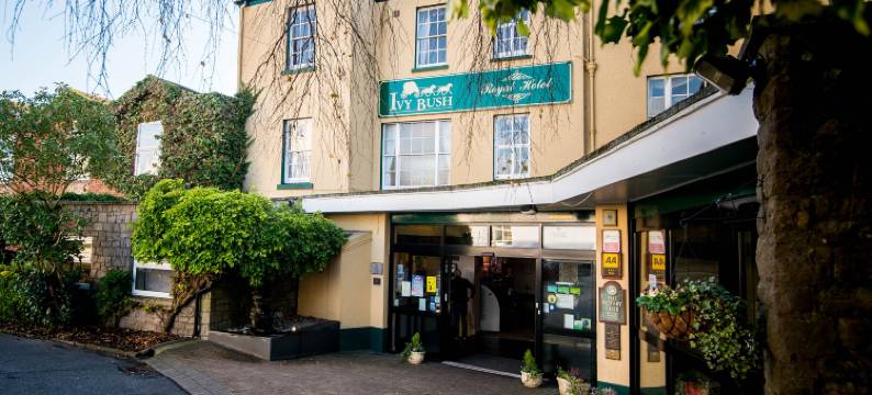 康帕斯酒店集团常春藤布什皇家酒店(Ivy Bush Royal Hotel by Compass Hospitality)图片