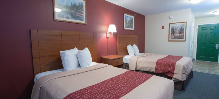 迪金森红顶套房酒店(Red Roof Inn & Suites Dickinson)图片