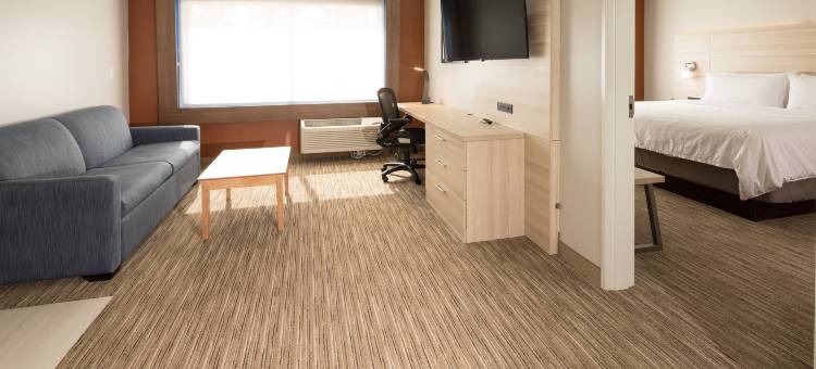 波塔吉智选假日套房酒店(Holiday Inn Express & Suites Portage)图片