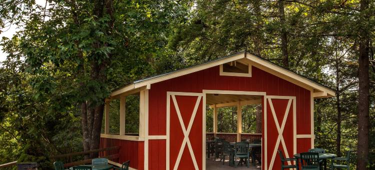 Hilton Vacation Club MountainLoft Gatlinburg图片