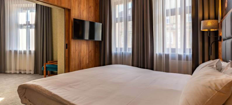 奥普尔美居酒店(Hotel Mercure Opole)图片