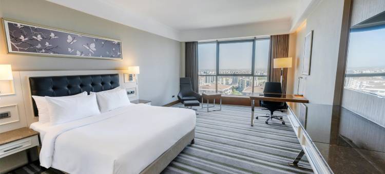 迪亚巴克尔丽笙蓝标酒店(Radisson Blu Hotel Diyarbakir, Turkey)图片