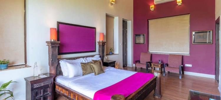 生活之树Junoon山中(Tree of Life Junoon in the Hills)图片