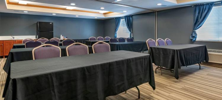 恩波里亚美茵斯坦套房酒店(MainStay Suites Emporia)图片