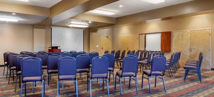 凯艺套房酒店(Quality Inn & Suites)图片