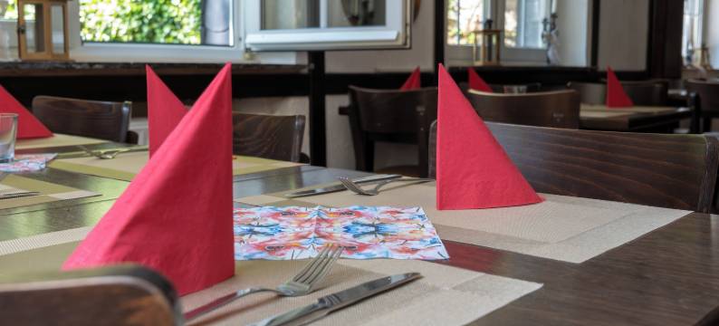 乡村旅馆希伦磨坊(Landgasthof Hieren Mühle)图片