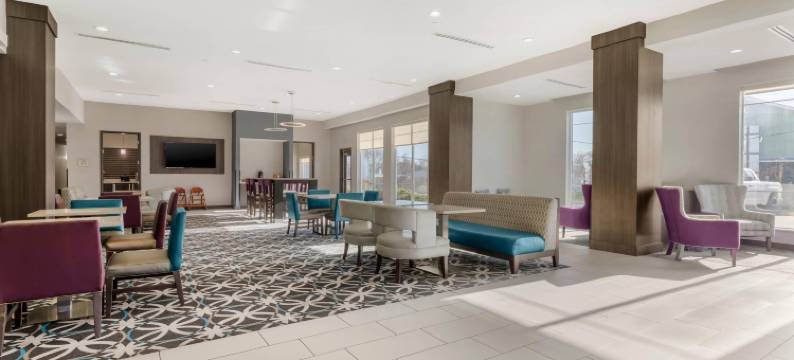 舒适套房酒店(Comfort Inn & Suites)图片