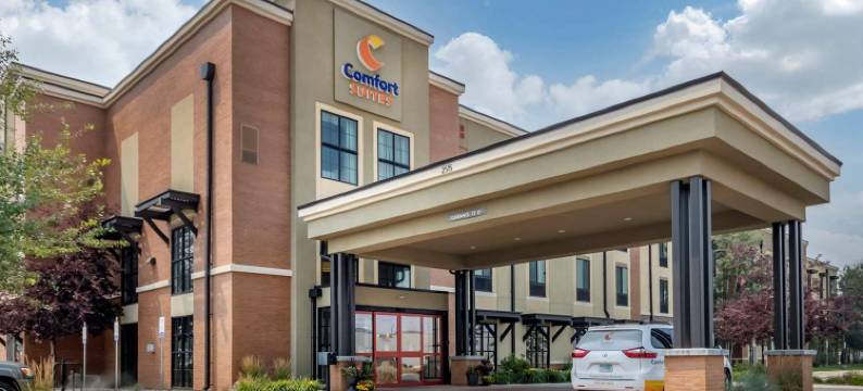 机场-大学舒适套房酒店(Comfort Suites Airport-University)图片