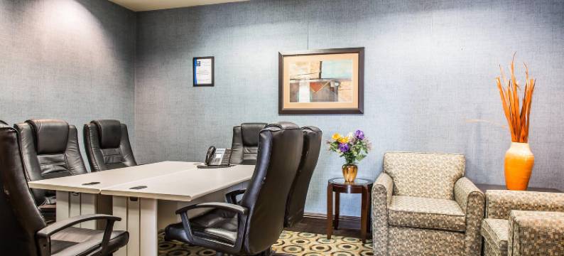 舒适套房酒店(Comfort Inn & Suites)图片