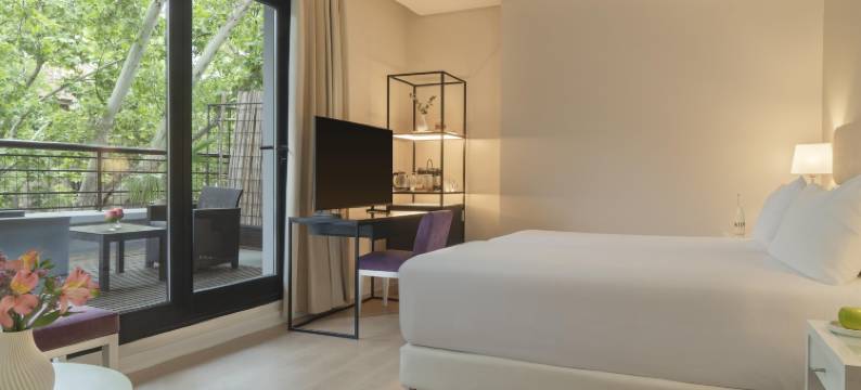 NH科迪勒拉酒店(NH Mendoza Cordillera)图片